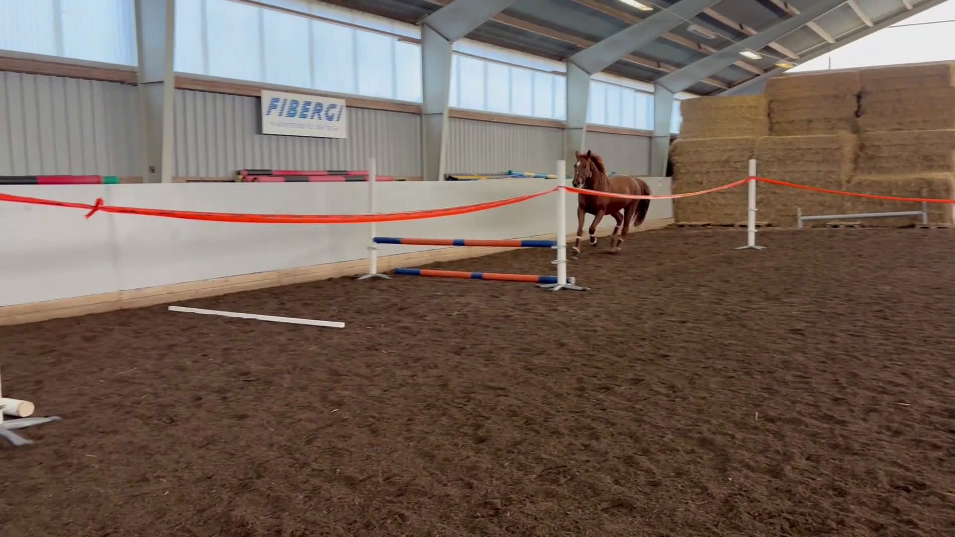 Dressyr hästar till salu: Oslipad diamant för den mycket erfarna ryttaren.  i Åkarp - Video 1