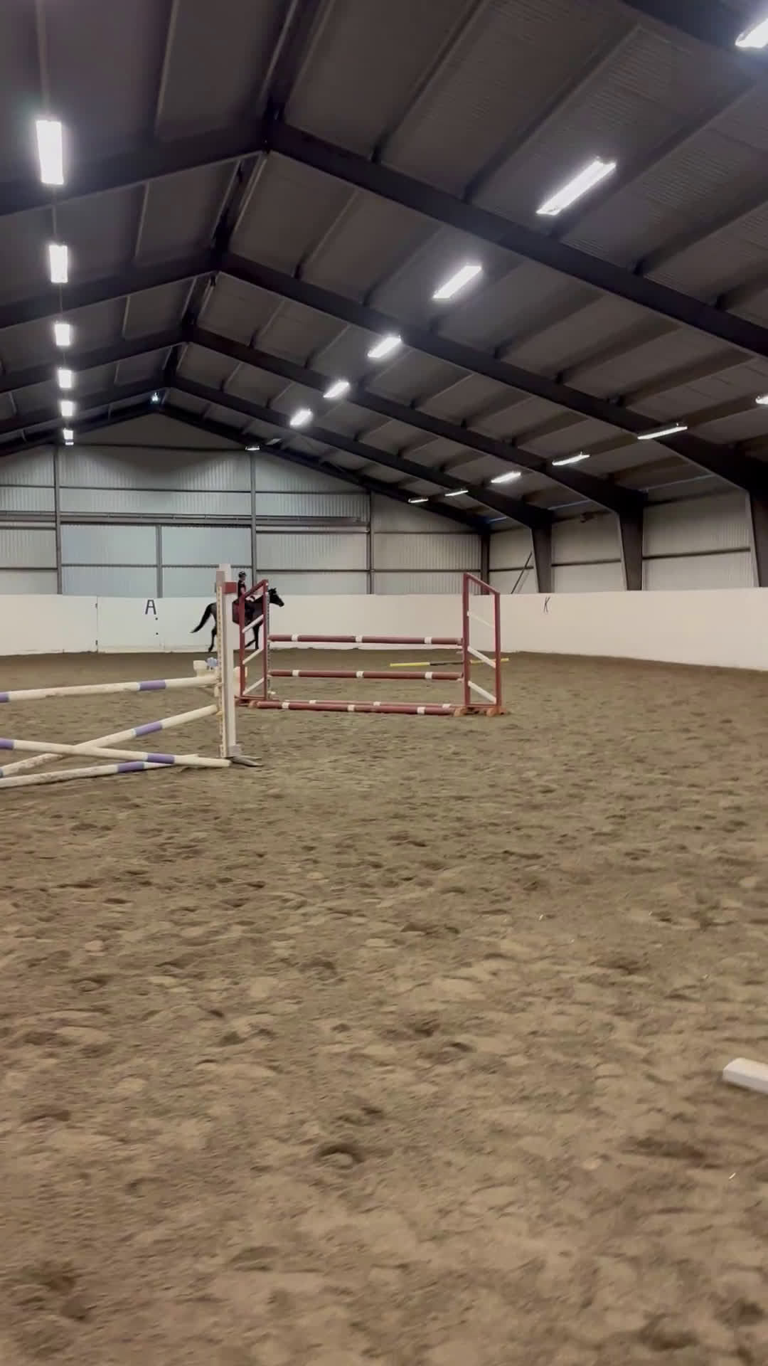 Allround hästar till salu: Sportig hopphäst - Video 2