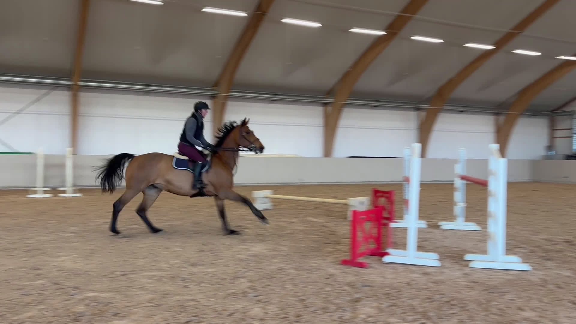 Hoppning hästar till salu: Fin 8-åring - Video 2