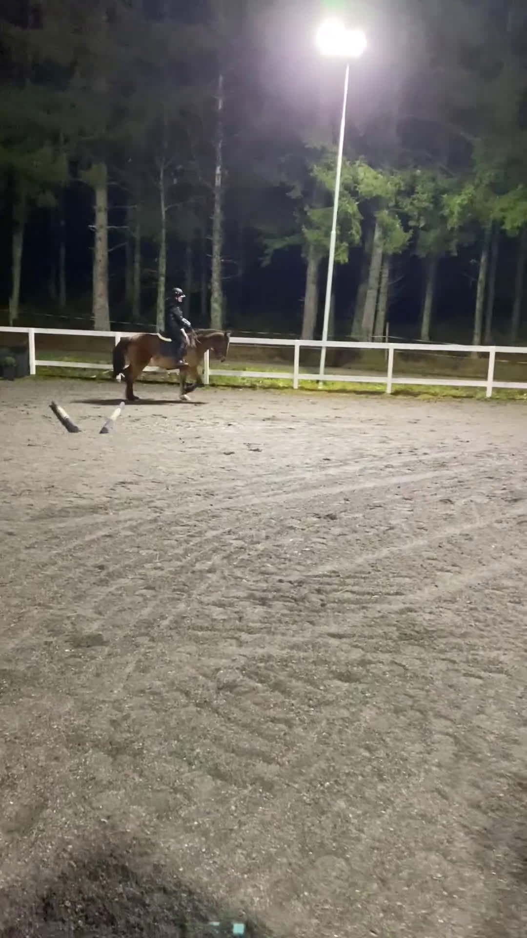 Allround hästar till salu: Intressekoll i Grästorp - Video 4