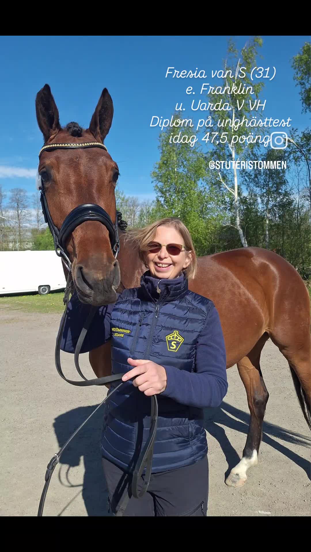 Dressyr hästar till salu: 3-årigt diplomsto med toppstam  - Video 1