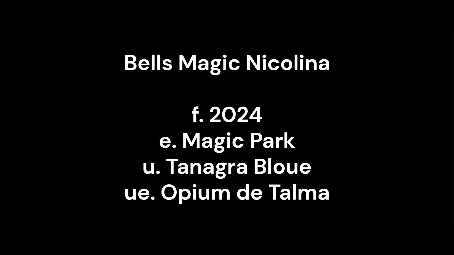 Hoppning hästar till salu: Lovande hopphäst - Video 2