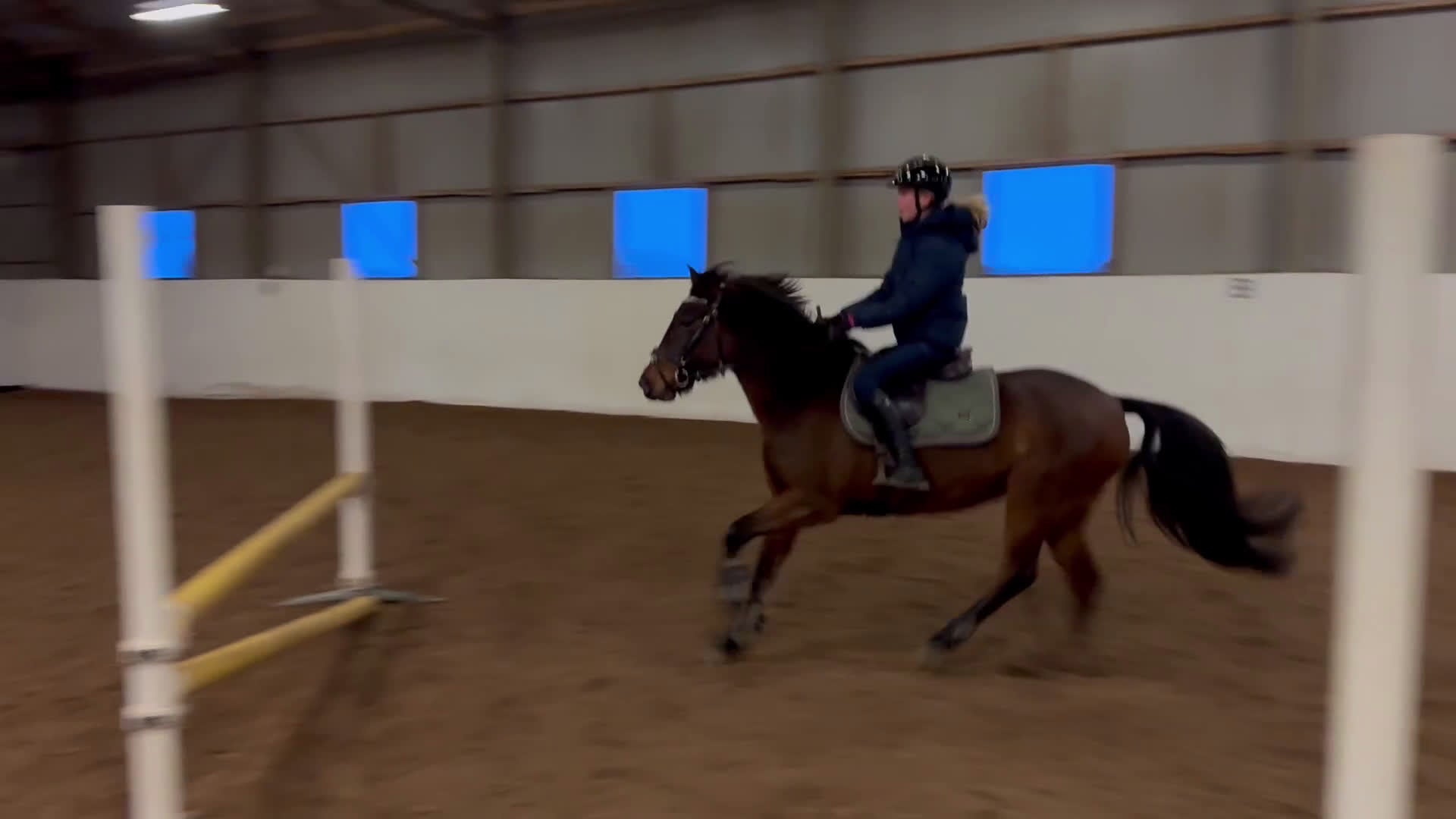 Hoppning hästar till salu: Sweetie Pie i Vikingstad - Video 4