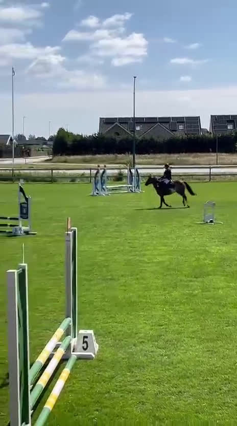 Hoppning hästar till salu: Fantastisk hopponny - Video 2