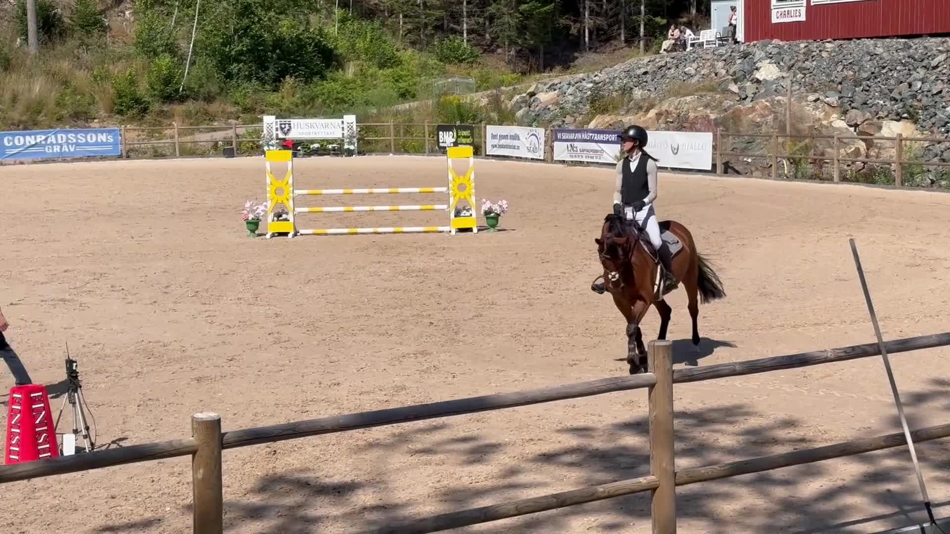 Hoppning hästar till salu: Trevlig häst som blir vad du gör henne till! - Video 1