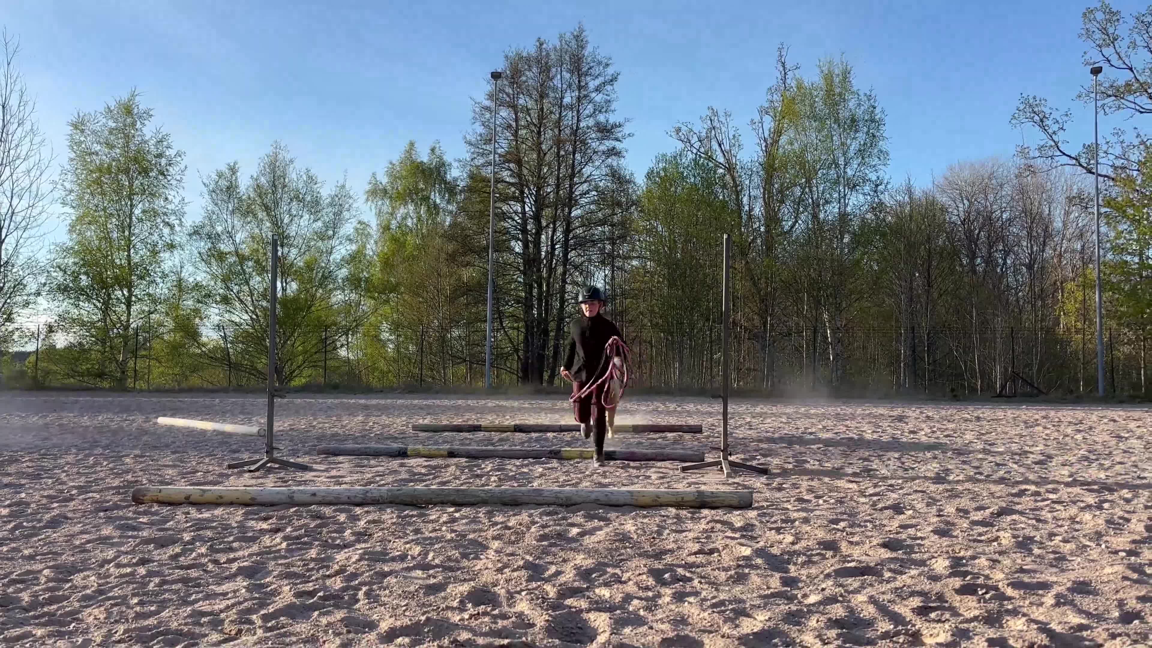 Allround hästar till salu: 🍿Världens sötaste Popcorn🍿 - Video 4