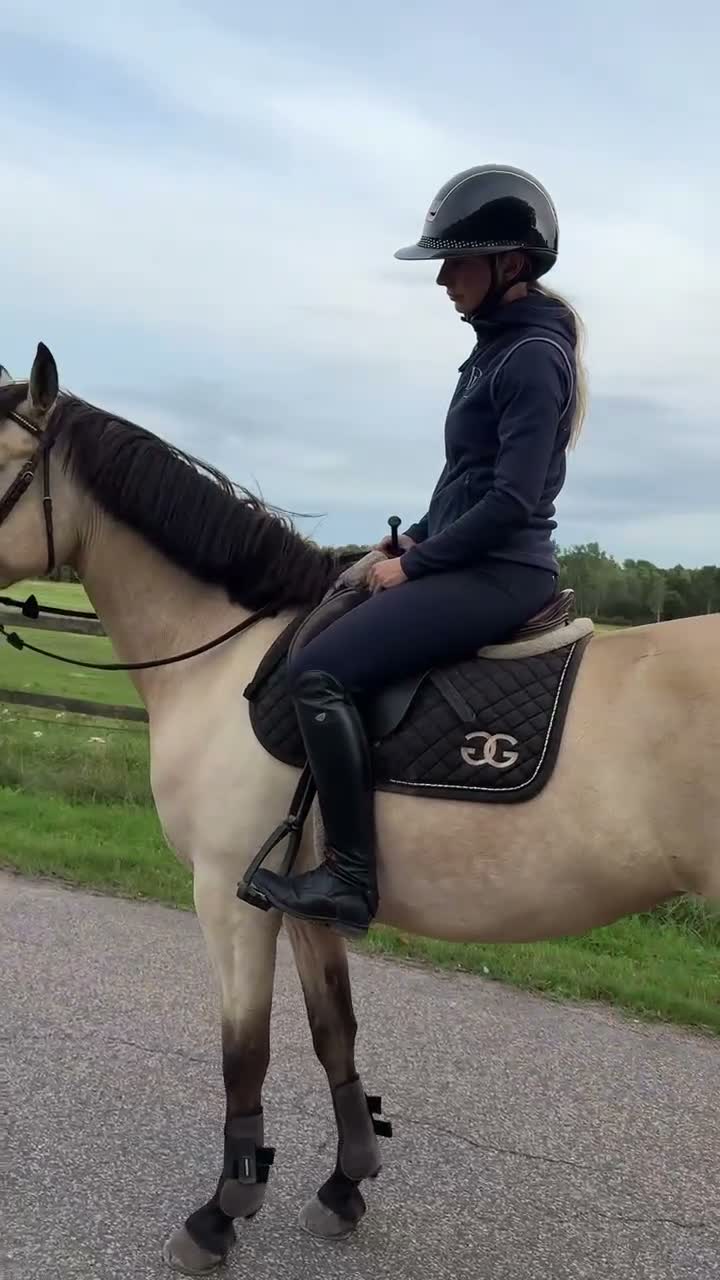Allround hästar till salu: Läcker ponny som drar blickarna till sig! - Video 2