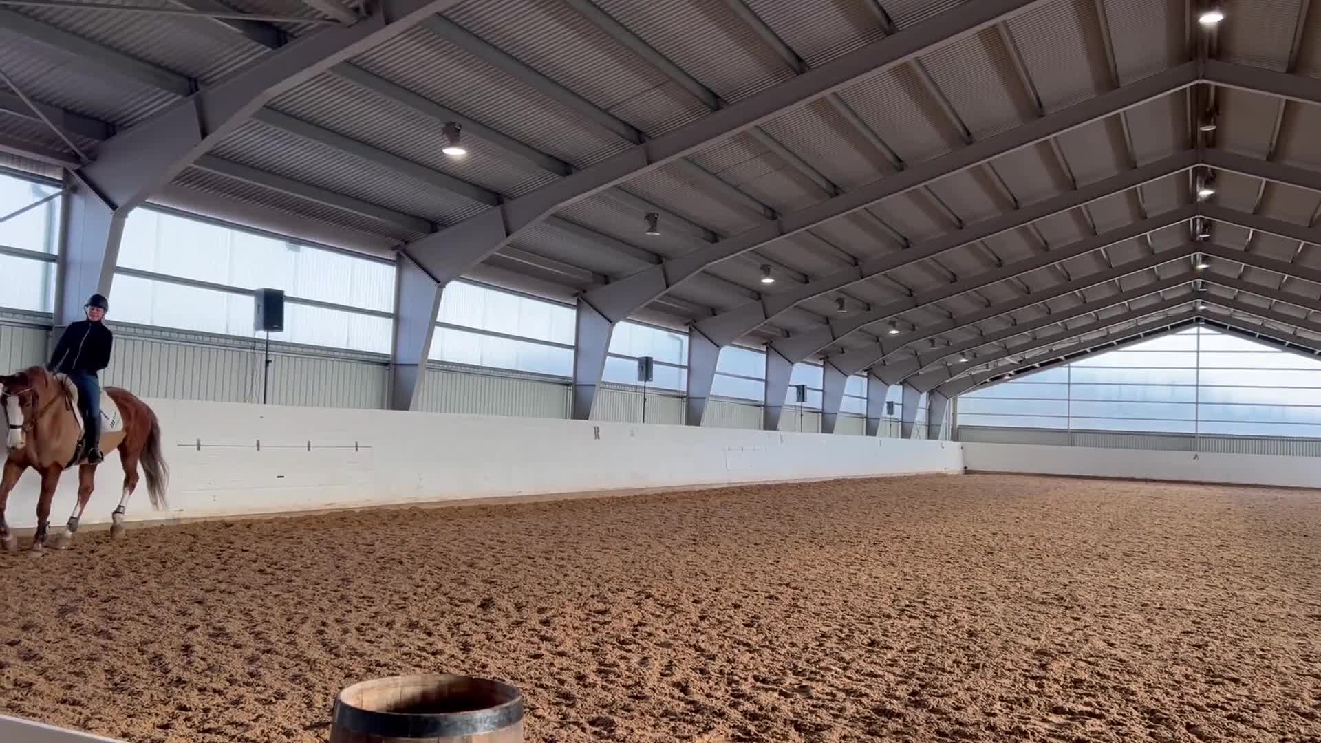 Dressyr hästar till salu: Fuxsto med utstrålning - Video 4