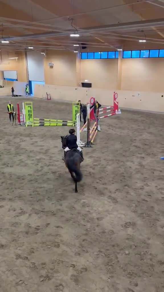 Hoppning hästar till salu: Okomplicerat connemara sto!  i Gammelstad - Video 1