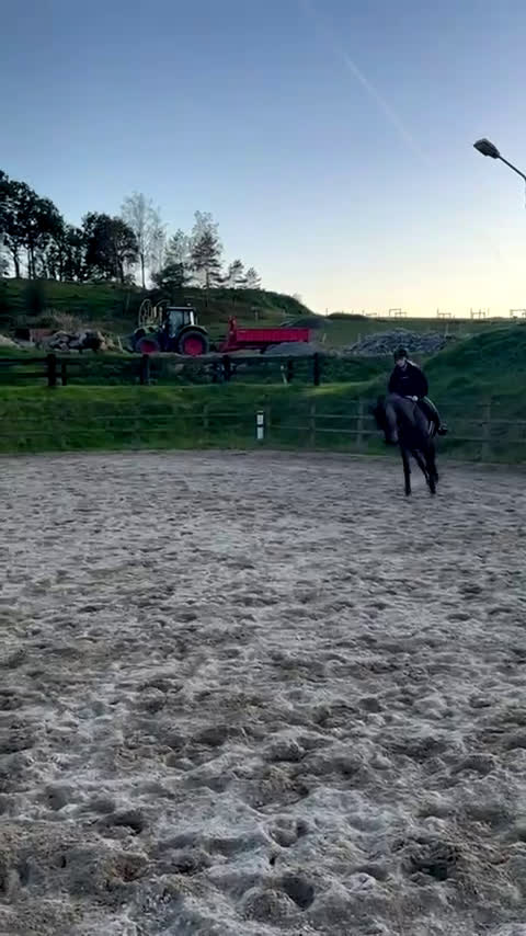  medryttarhäst sökes: Sökes medryttarhäst  i Gråbo - Video 1