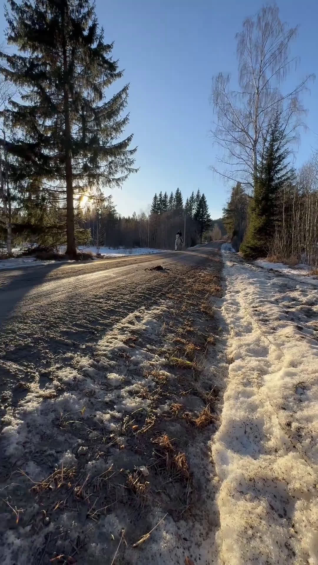 Allround hästar till salu: Vitt prins - Video 1