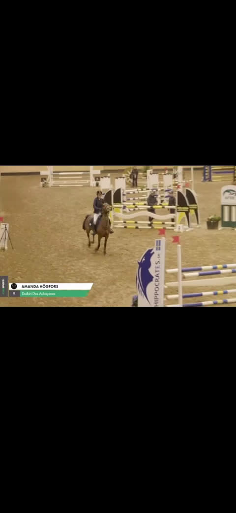 Hoppning hästar till salu: Maxad C-ponny född 2013 för de högsta klasserna. i Stora Höga - Video 3