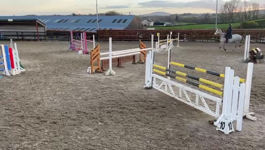 Allround hästar till salu: Irish sport horse  i Göteborg - Video 2