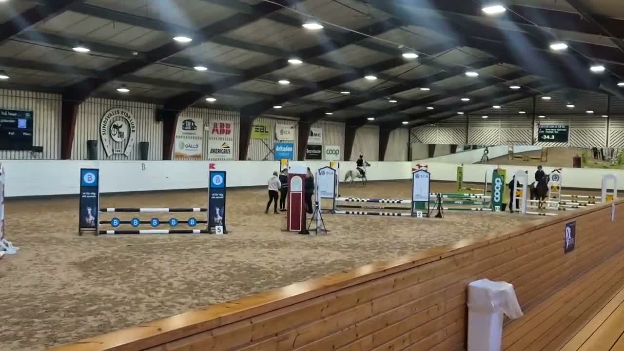 Hoppning hästar till salu: Maxat B-ponnysto - Video 1
