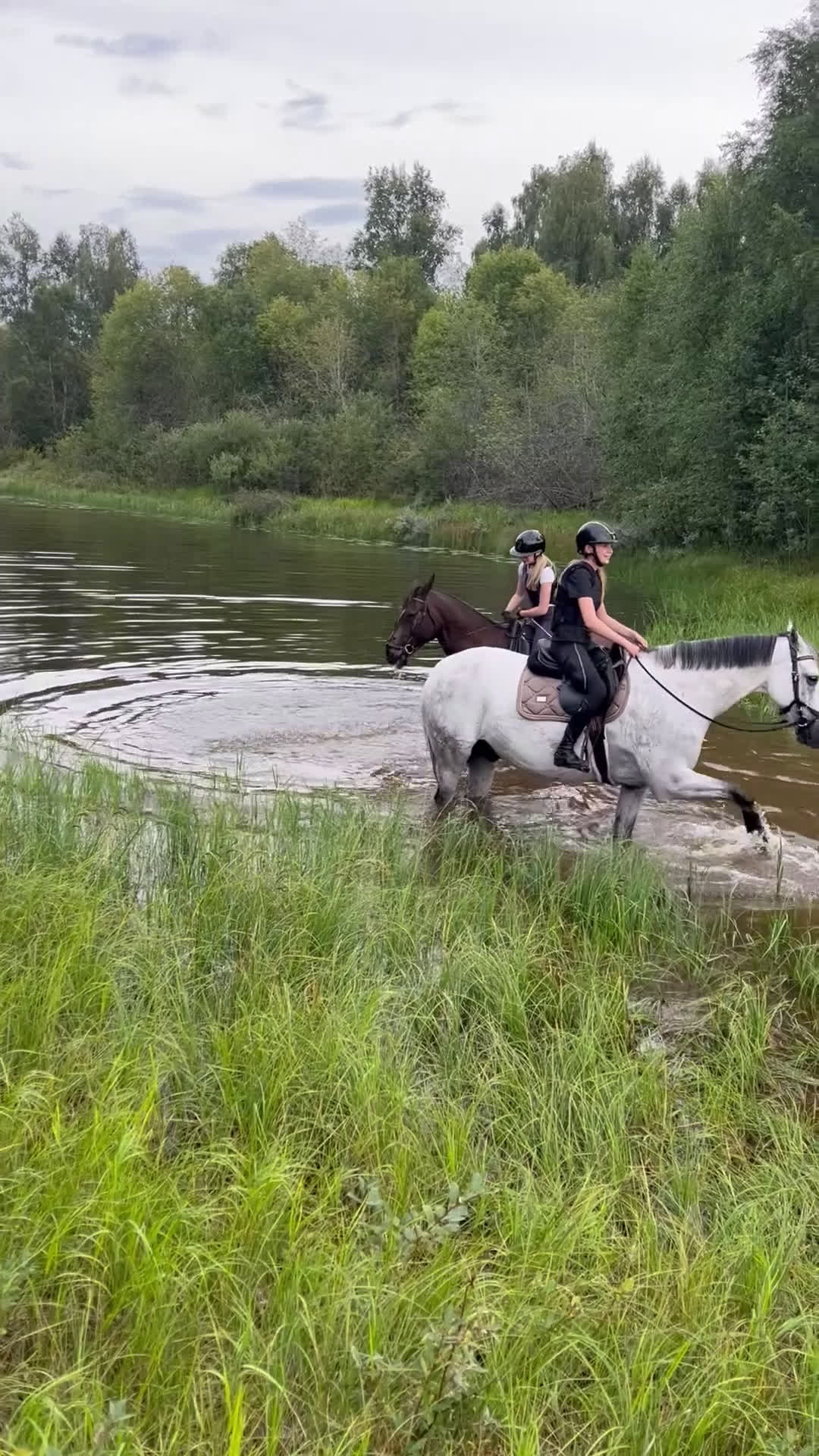 Allround hästar till salu: Bästa vän söker nytt hem 💕 i Malung - Video 4