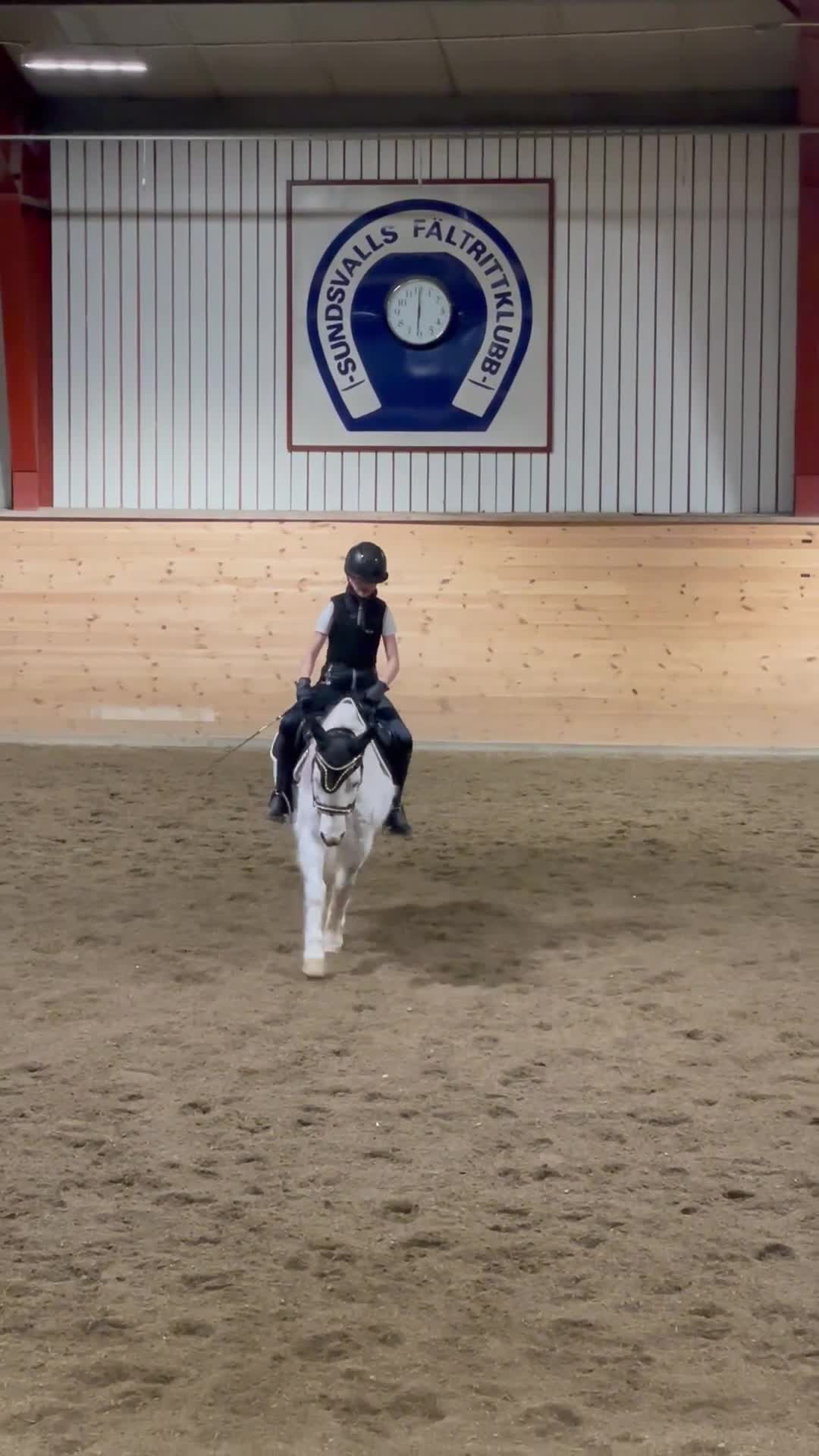 Allround hästar till salu: Mycket Vacker B ponny ! i Sundsvall - Video 2
