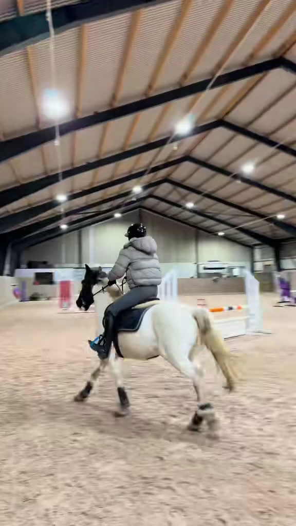 Allround hästar till salu: Buddy- charmig Cponny med mod & personlighet! i Saxtorp - Video 2