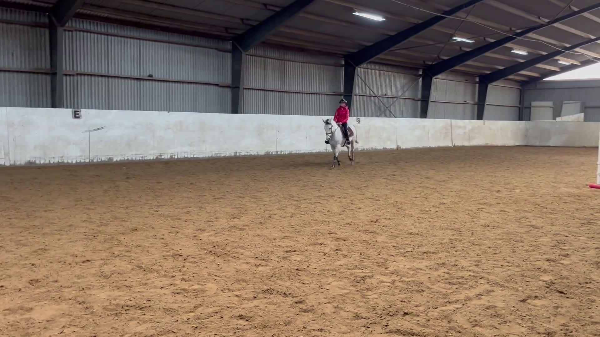 Allround hästar till salu: Lovade D-ponny  - Video 1