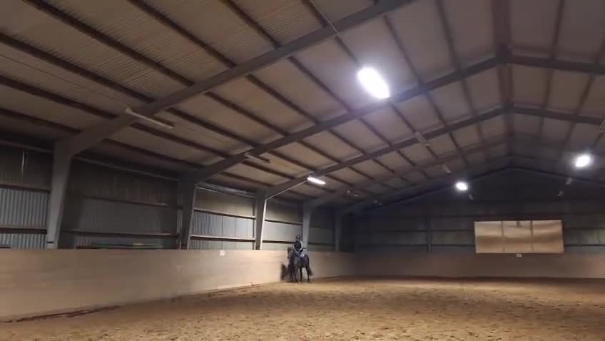 Allround hästar till salu: Trevlig allroundponny  - Video 3