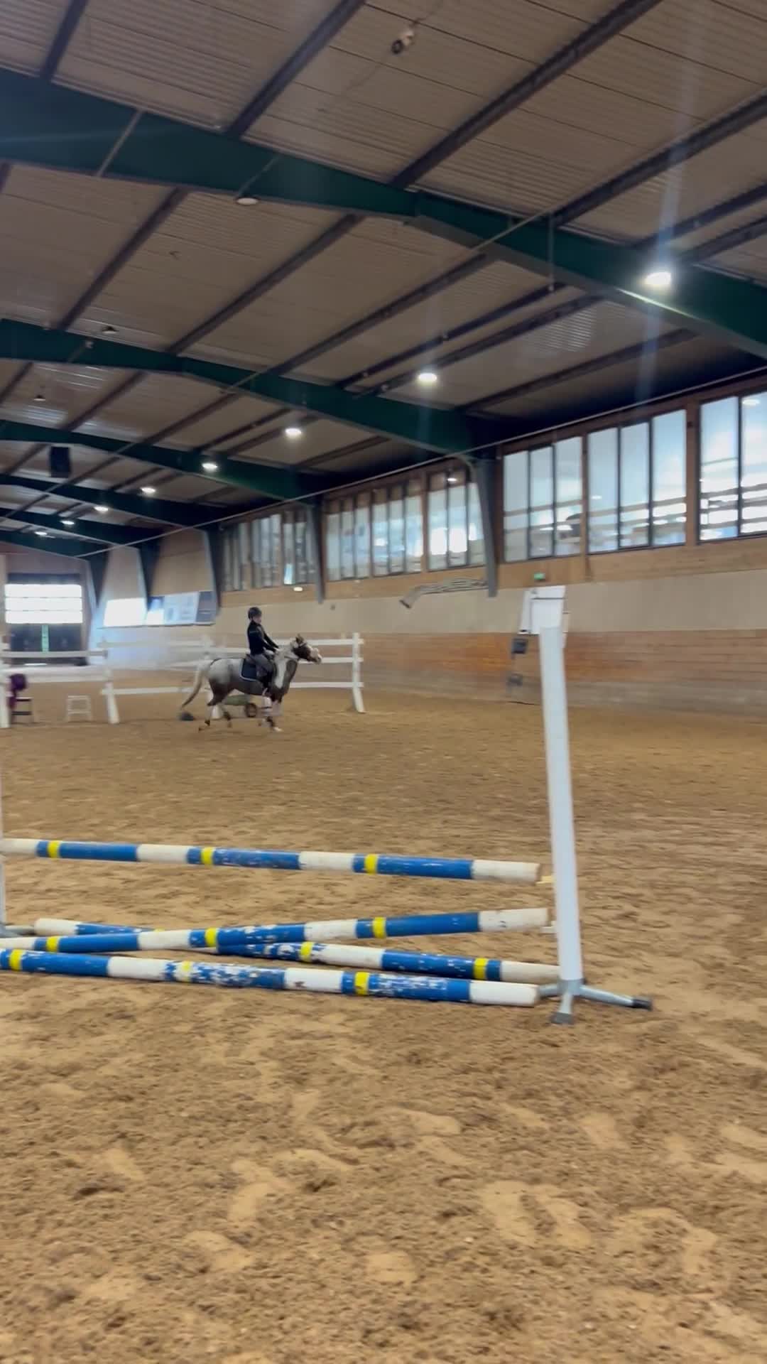 Allround hästar till salu: Underbar B ponny 💕 - Video 1