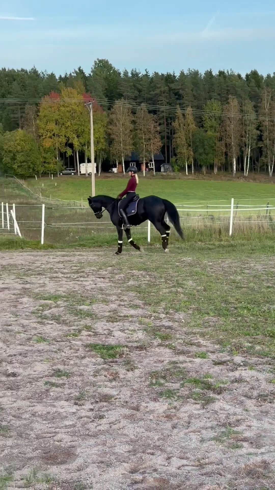 Dressyr hästar till salu: Sto med utstrålning - intressekoll i Storvik - Video 1