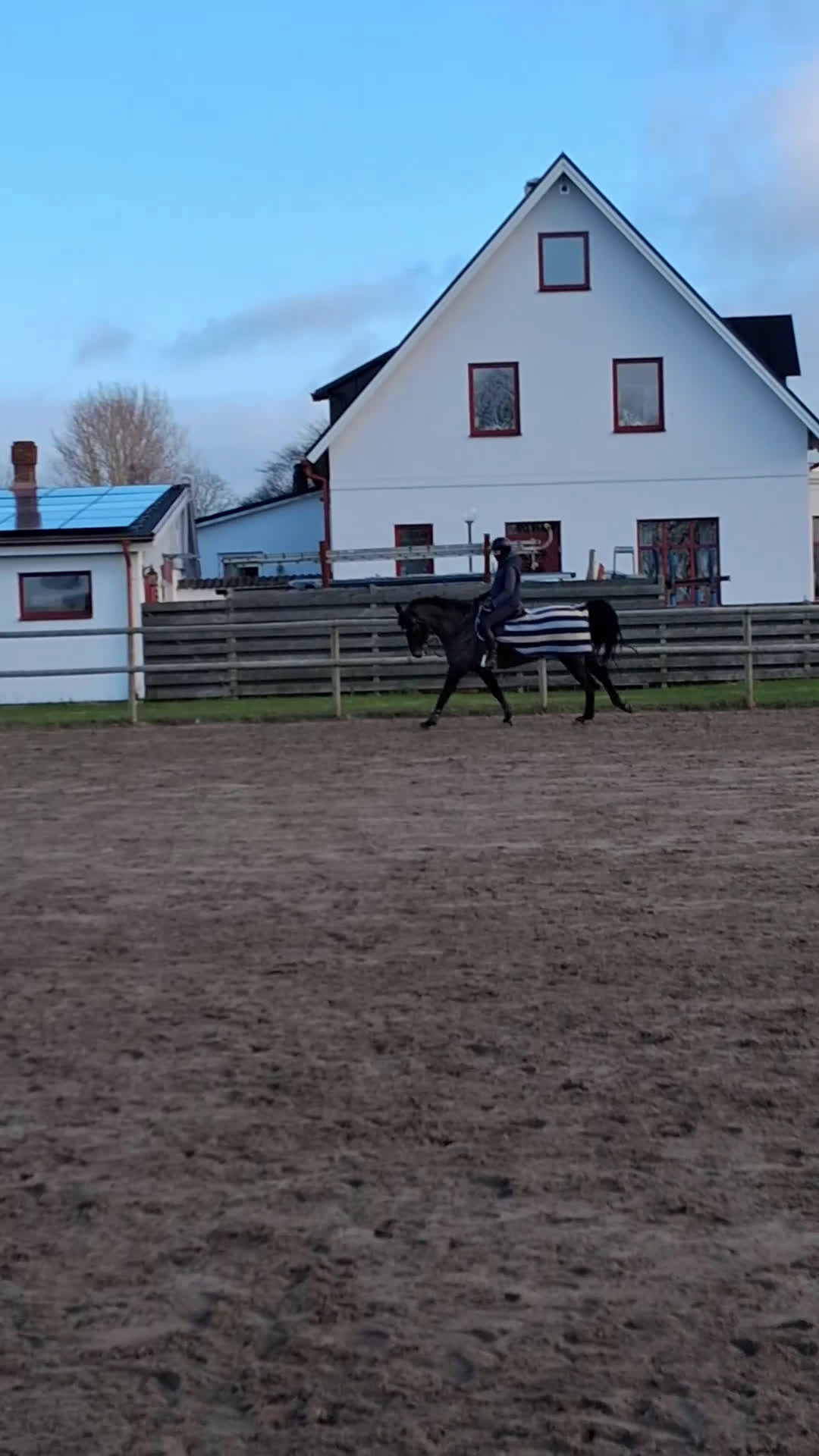 Allround hästar till salu: Fantastisk allround valack!  - Video 2