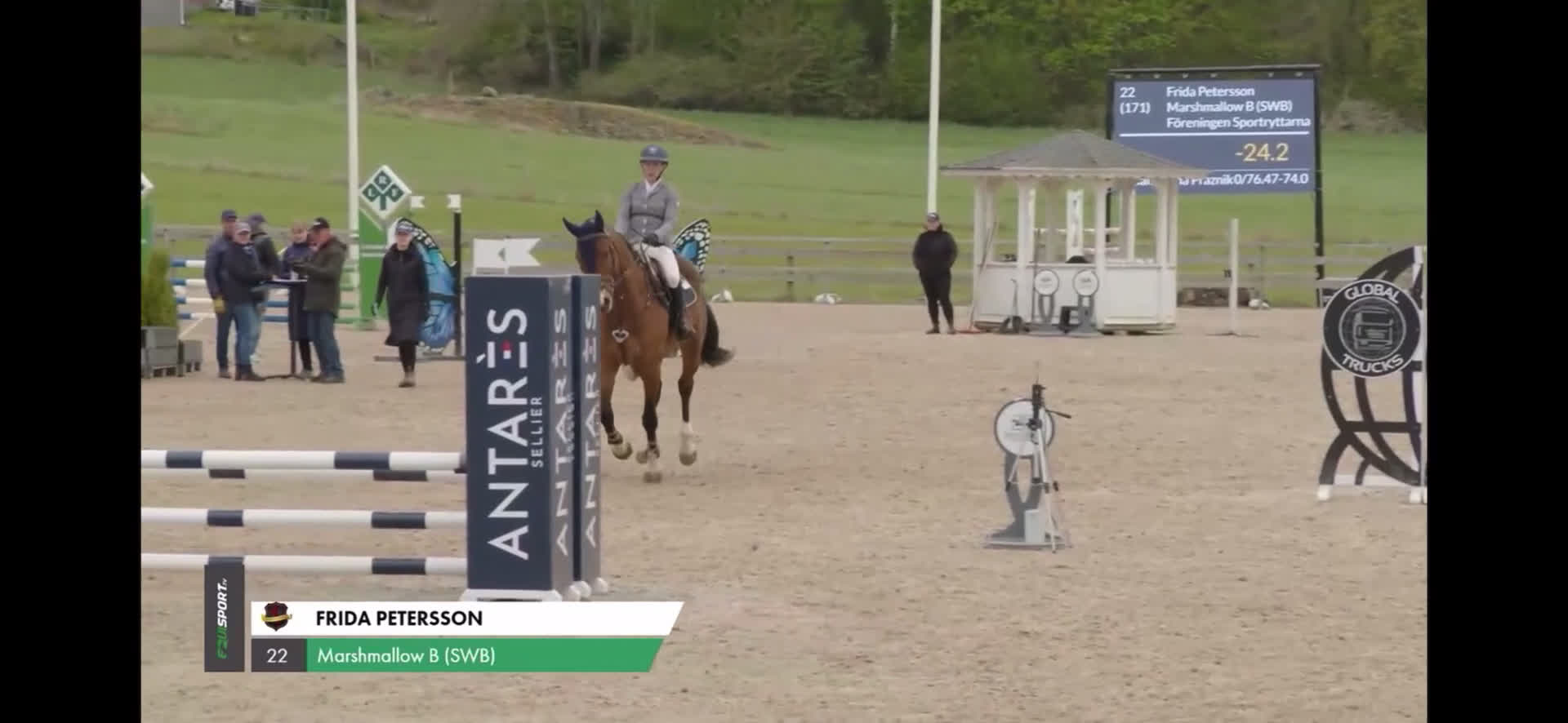 Hoppning hästar till salu: Super 4åring!   i Åtvidaberg - Video 2