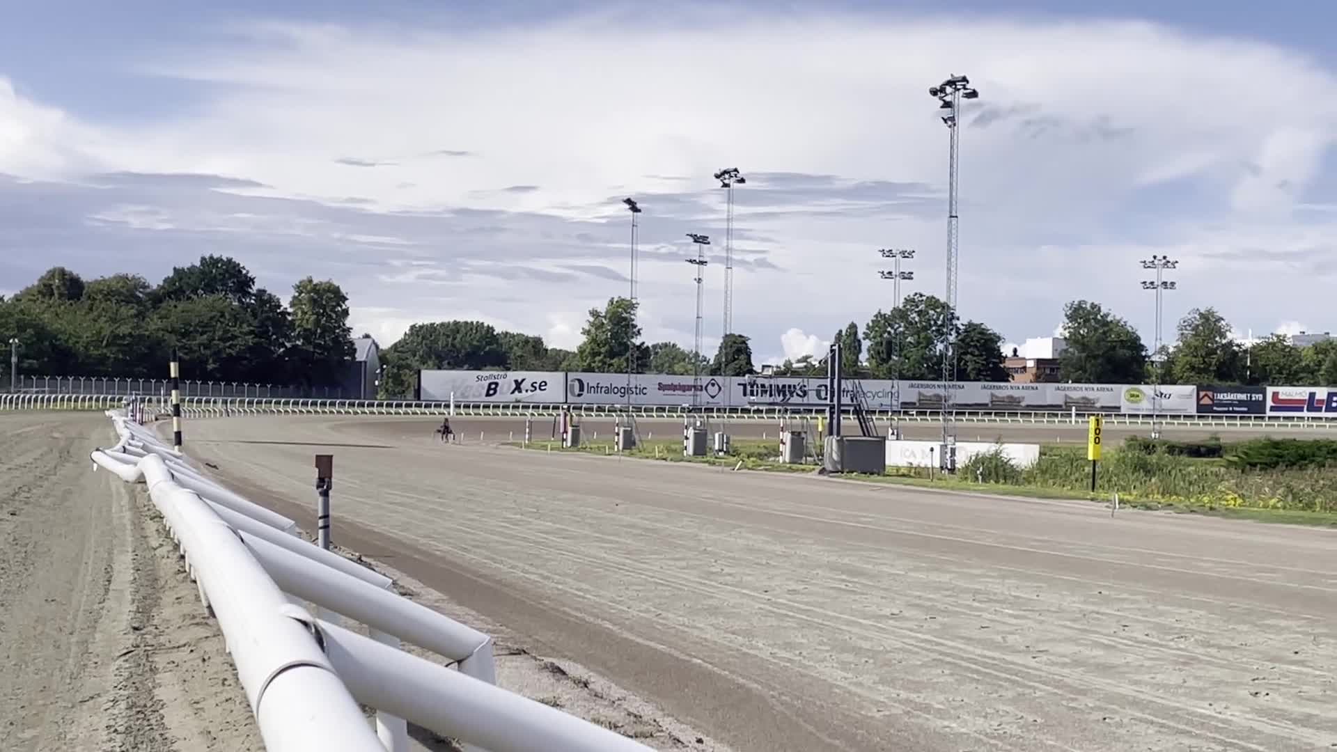 Trav hästar till salu: Kapabel 2-årig valack - Video 1