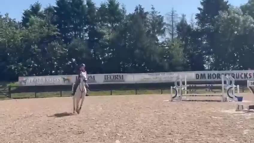 Hoppning hästar till salu: Stjärnponnyn söker sitt nya hem 💖 - Video 1