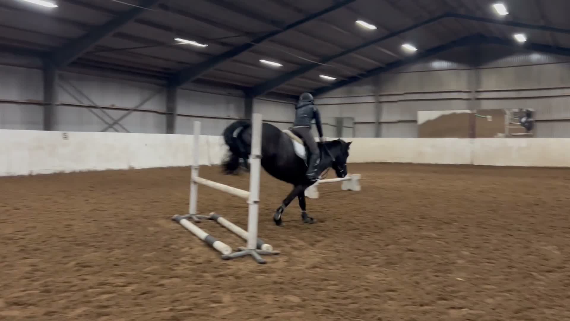 Allround hästar till salu: Skogsmulle till fyndpris ⭐️ i Ekeby - Video 1
