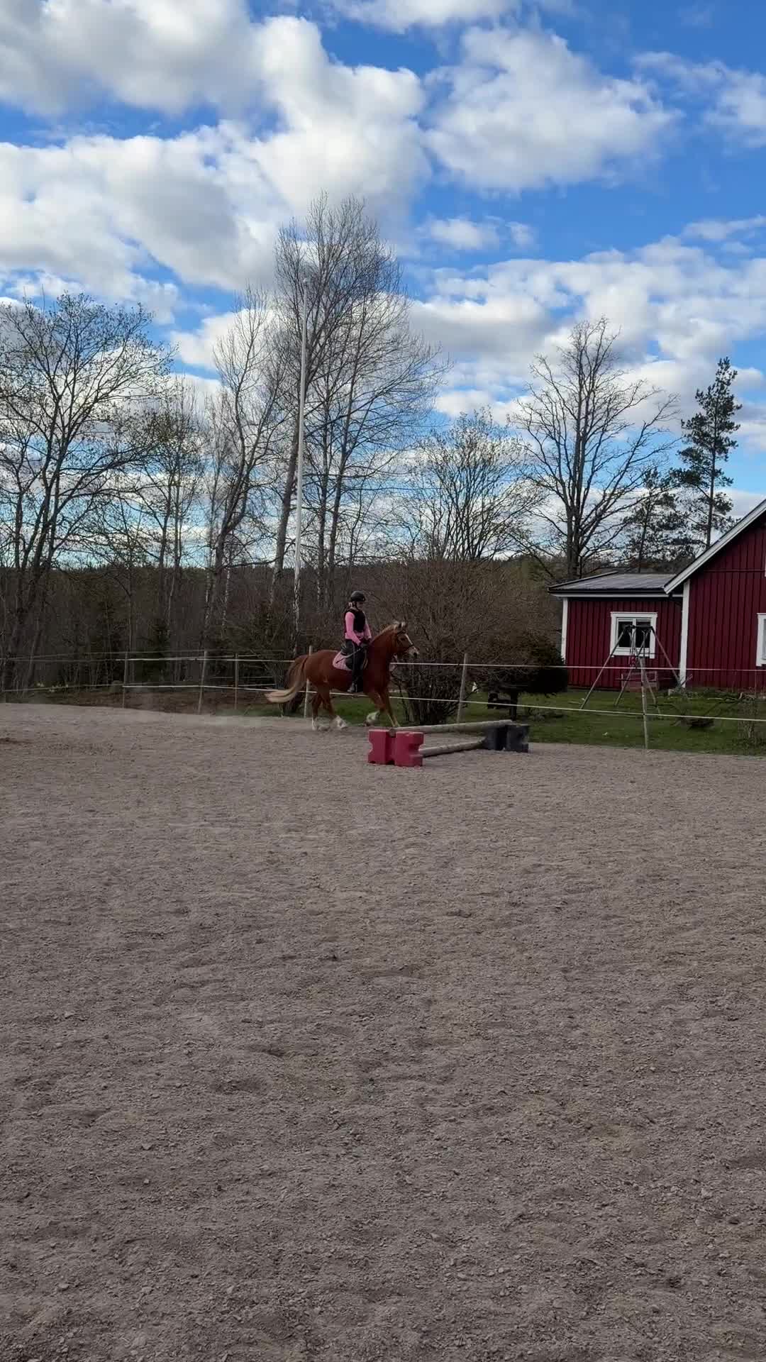 Allround hästar till salu: C ponny valack född 2010 - Video 3