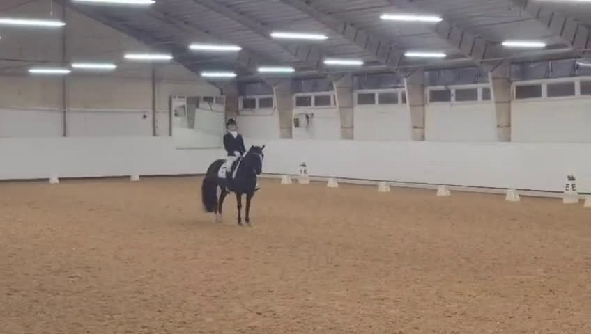 Dressyr hästar till salu: Talangfull maxad C-ponny - Video 1