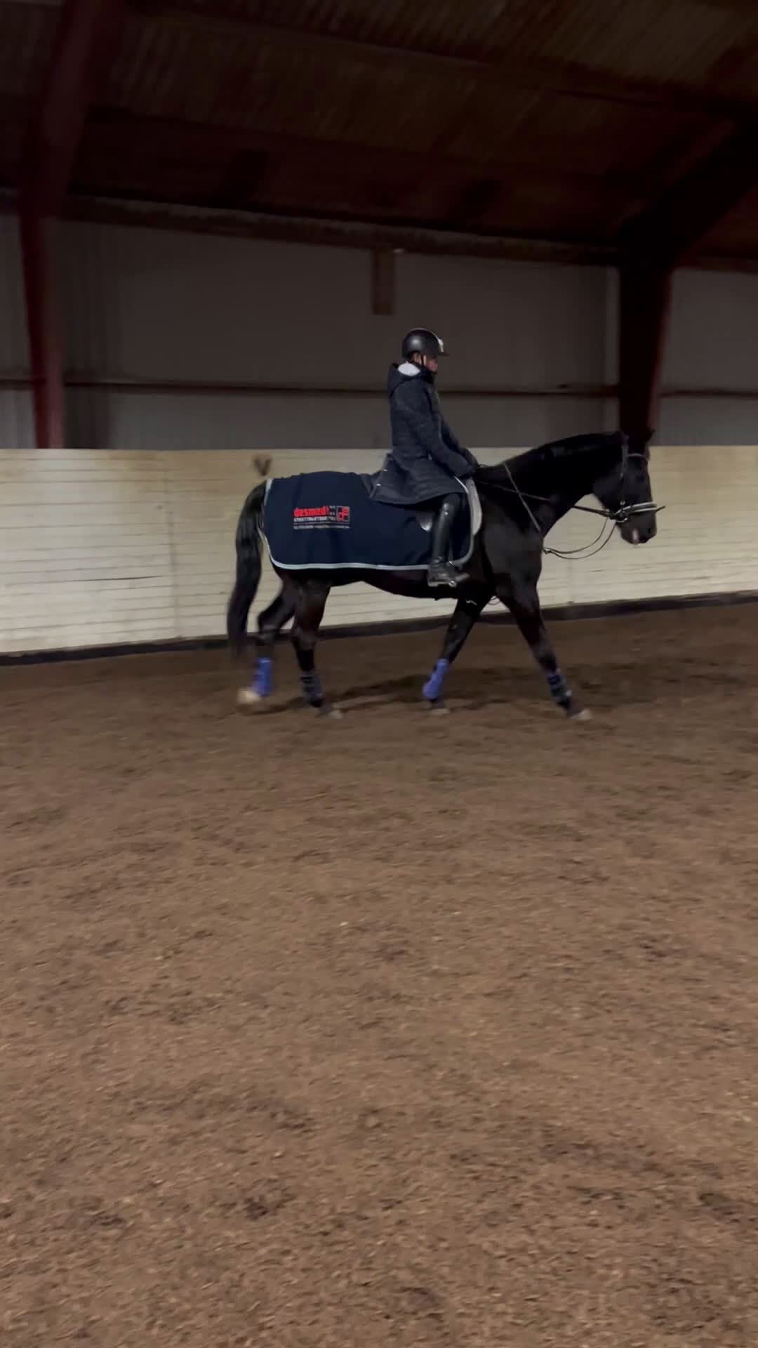 Hoppning hästar sökes: D-ponny sökes i Trelleborg - Video 2