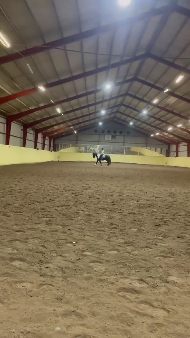 Allround hästar till salu: Fantastisk c-ponny  i Ljungskile - Video 1