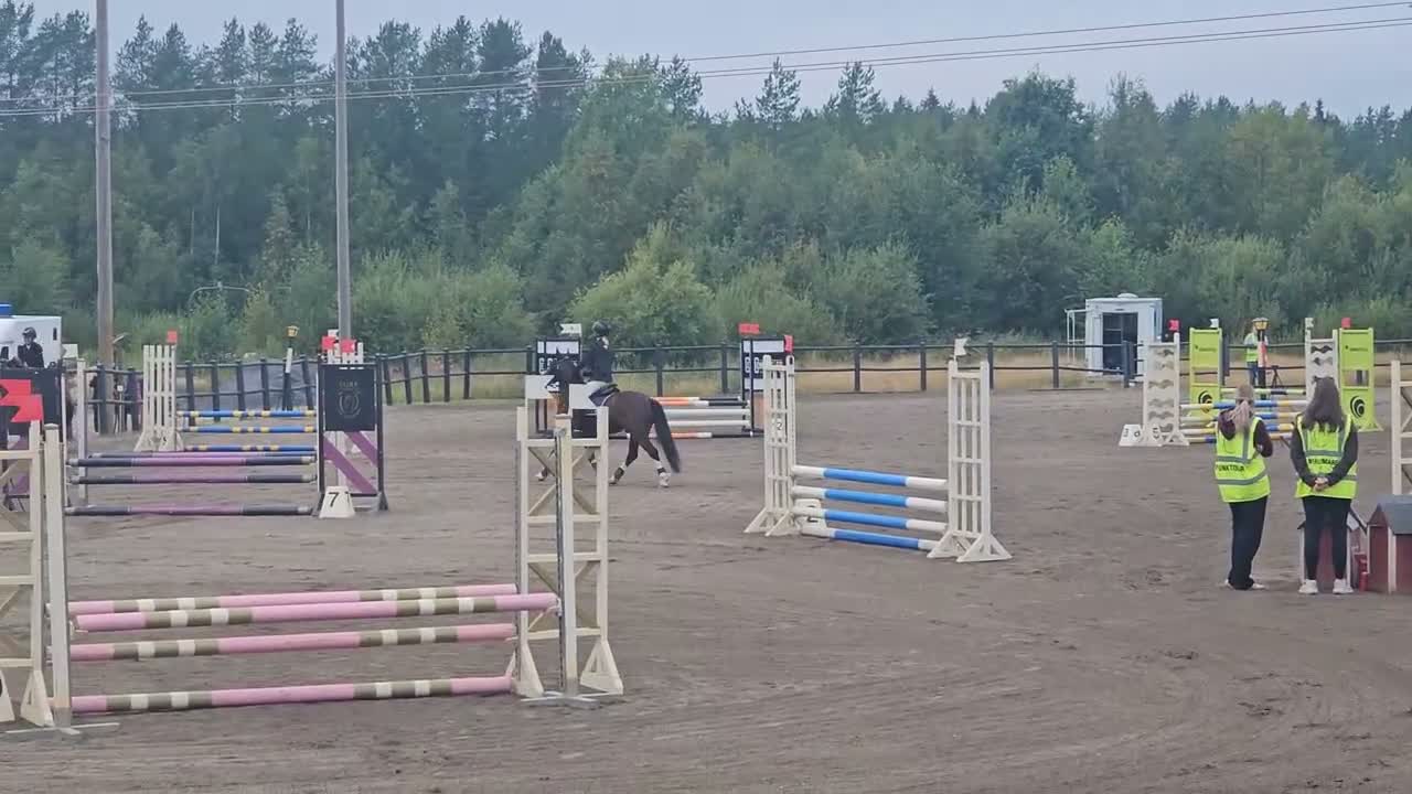 Hoppning hästar till salu: Fin B-ponny i Sävar - Video 4