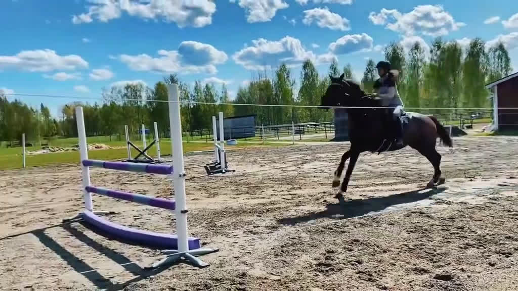 Allround hästar sökes: Hjälp med hästar  i Vännäs - Video 2