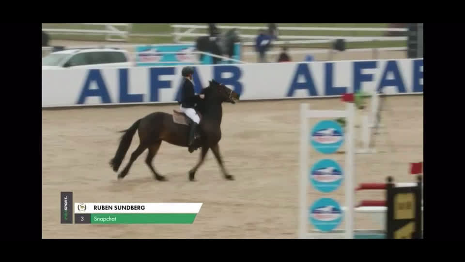 Hoppning hästar till salu: Fantastiska Snapchat i Norrtälje - Video 1