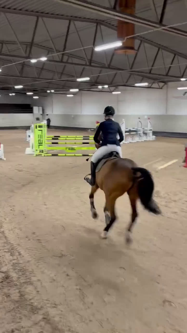 Hoppning hästar till salu: Chaccmate fin och personlig hopphäst - Video 3