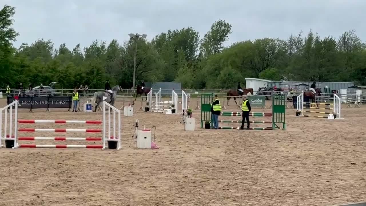 Allround hästar till salu: Trevligt SWB sto 10 år - Video 2