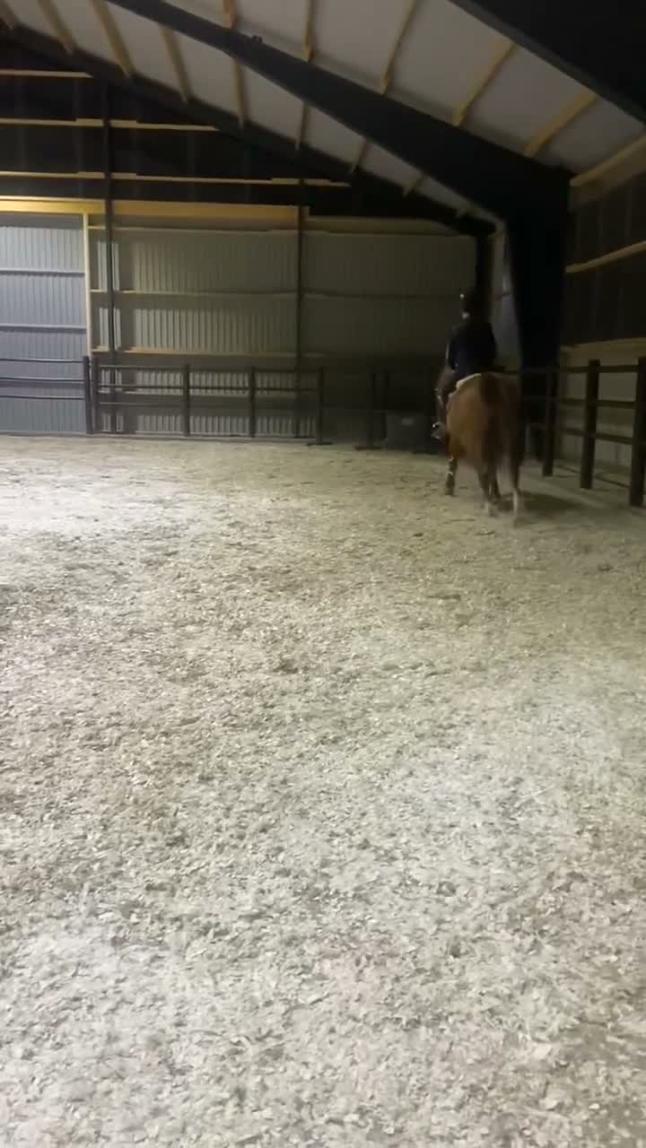  hästservice finnes: Stallhjälp/ridhjälp finnes i Karlstad - Video 1