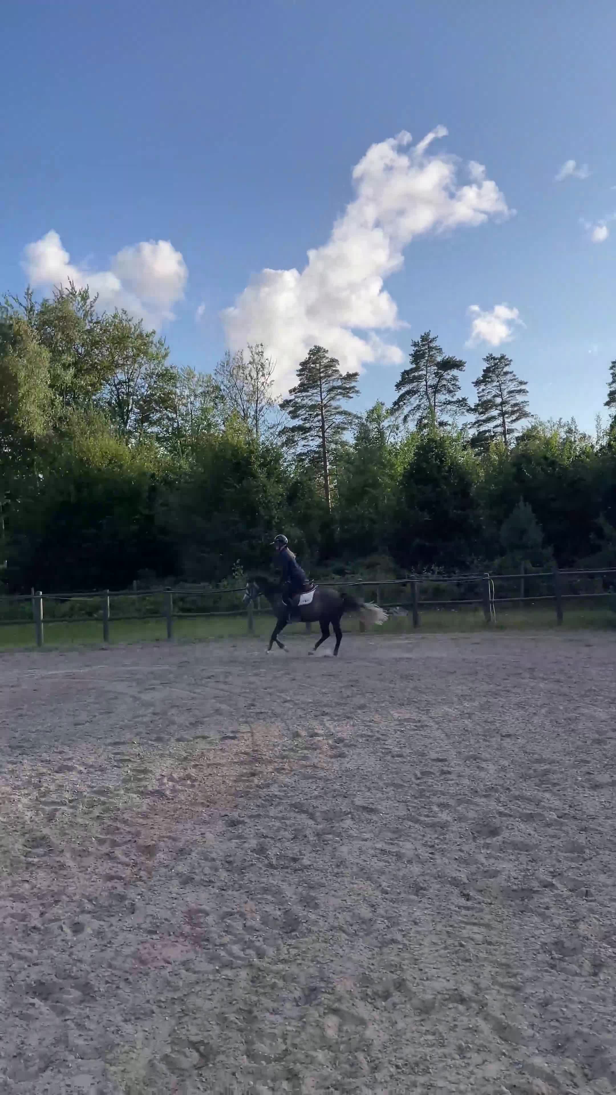 Allround hästar till salu: Fantastisk B ponny - Video 1