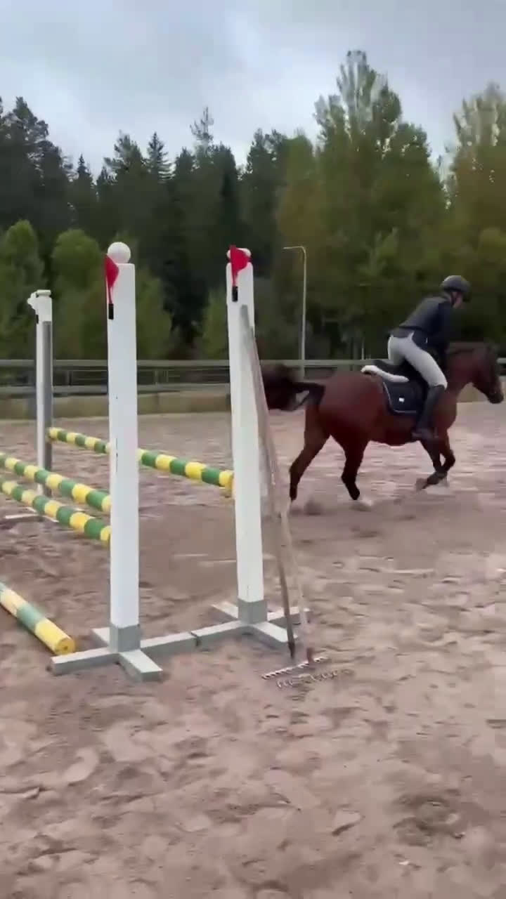 Hoppning hästar till salu: Lovande C-ponny i Bollnäs - Video 1