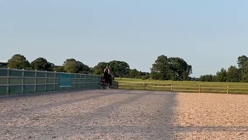 Dressyr hästar till salu:  Drömponnyn  Lärömästare med Tysk Ridponny stam - Video 4
