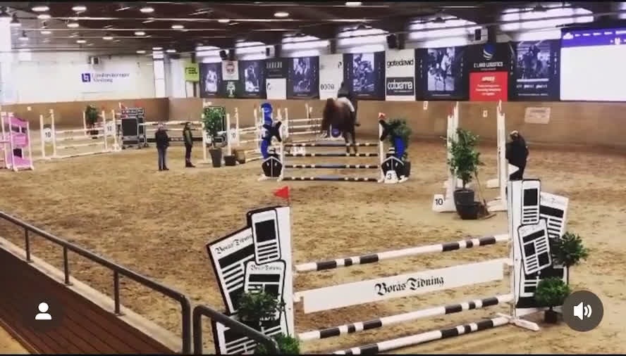 Allround hästar till salu: Sto med fin stam säljes till varaktigt hem! i Fritsla - Video 1