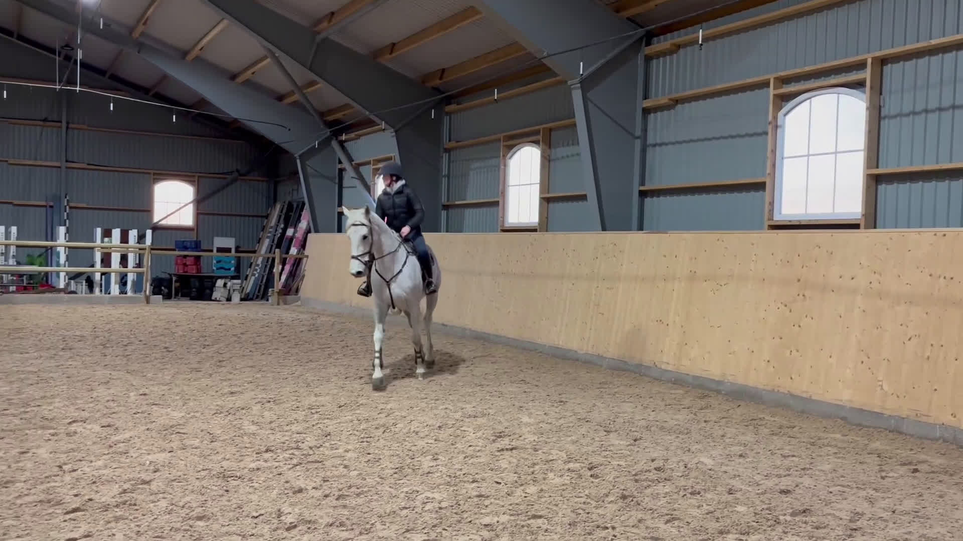 Hoppning hästar till salu: Trevlig Hobby / Tävlingshäst i Tomelilla - Video 1