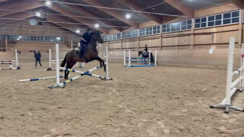 Hoppning hästar sökes: 💫SÖKER MEDRYTTARE💫 i Grums - Video 1