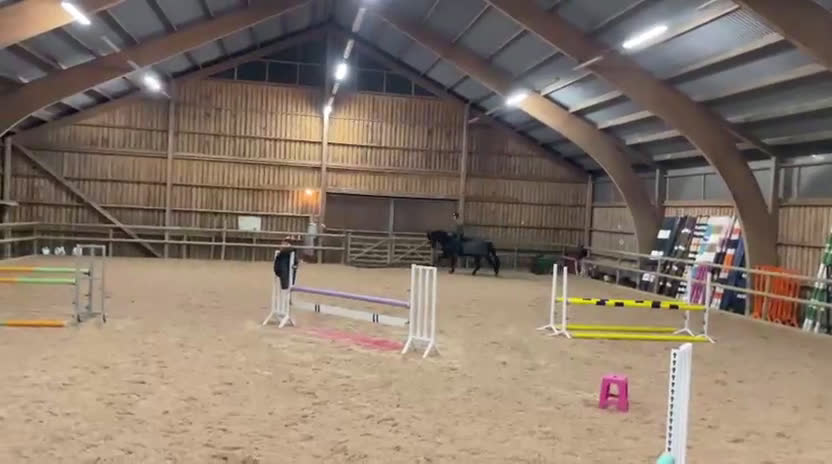 Dressyr hästar till salu: Oslipad diamant med stor personlighet 💎 i Skummeslövsstrand - Video 1