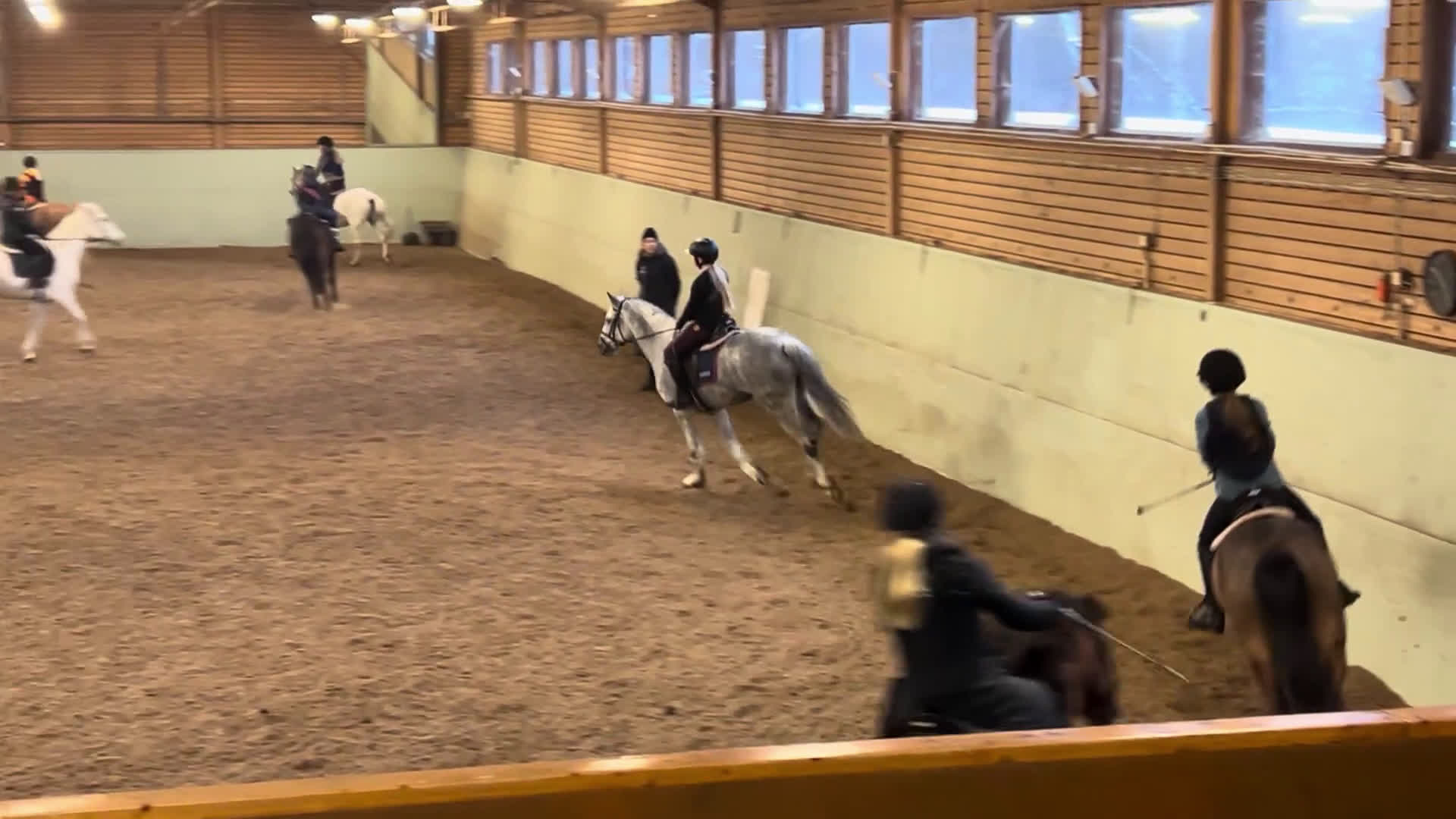  medryttarhäst sökes: Medryttarhäst SÖKES inom STOCKHOLM - Video 3