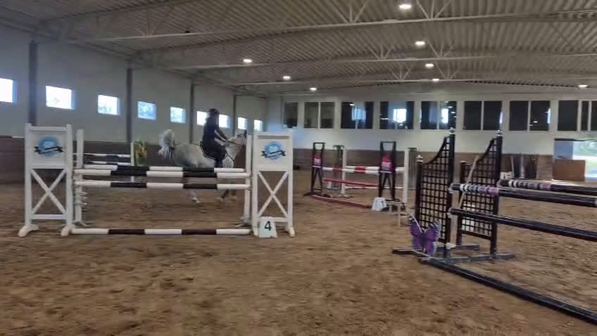 Hoppning hästar till salu: Rosettplockare – Fint 7-årigt sto  i Trelleborg - Video 2