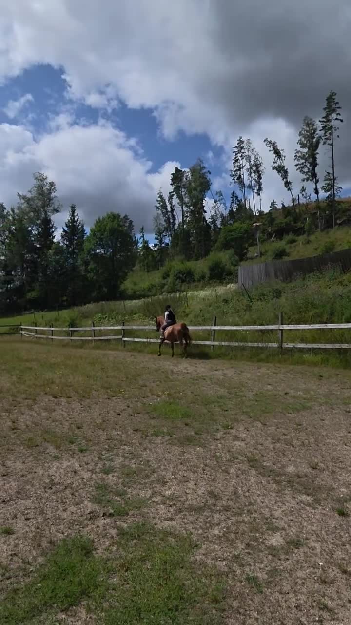 Allround hästar till salu: Mycket trevligt halvblod - Video 1